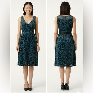 ANTHROPOLOGIE MOULINETTE SOEURS Matilija Teal Silk & Velvet Burnout Dress Sz 2